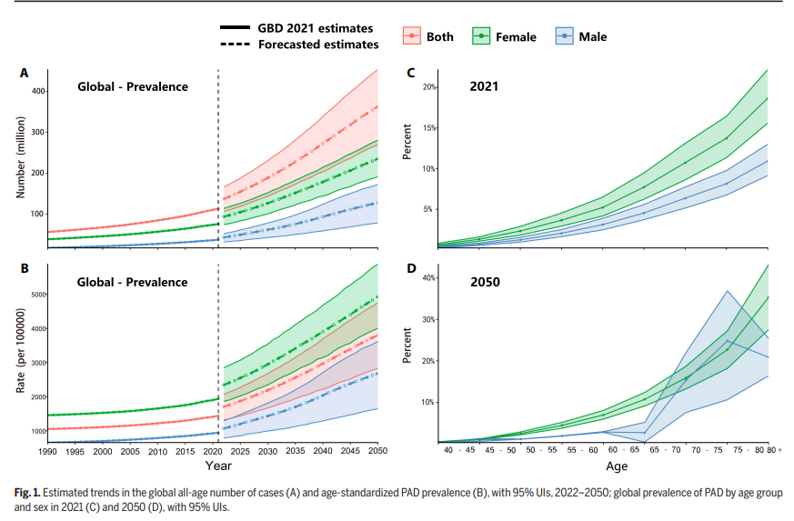 Study Toe & Flow 2025